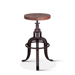 Blayne Adjustable Height Stool