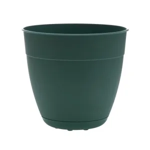 Bloem Dayton 5.75 in. H X 6 in. D Plastic Transitional Planter Turtle Green