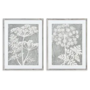 BLOOMING QUEEN ANNE'S LACE PRINTS, SET OF 2 BY NAPA HOME & GARDEN