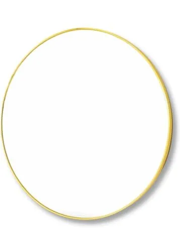 Blossom Homes Round Wall Mirror for Bathroom, Wall Mounted Metal Frame Modern Design Living Room, Bedroom, Vanity, Entryway, Beautiful Decoration Sharp Reflection Mirror (Gold 20 Inch)