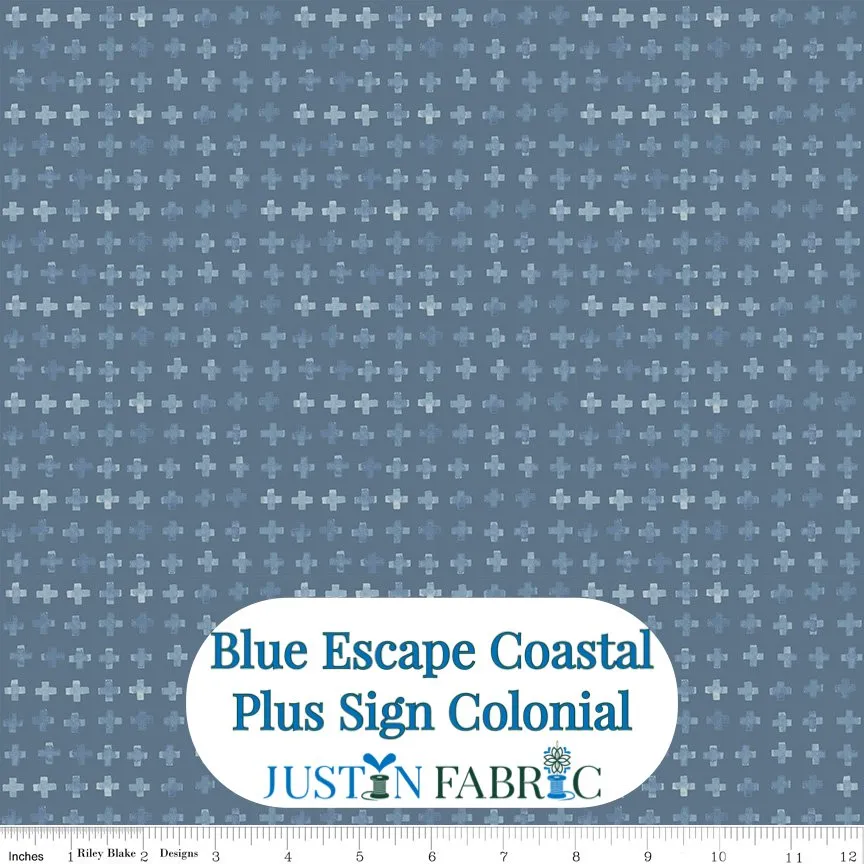 Blue Escape Coastal Plus Sign Colonial Cotton Yardage by Lisa Audit | Riley Blake Designs