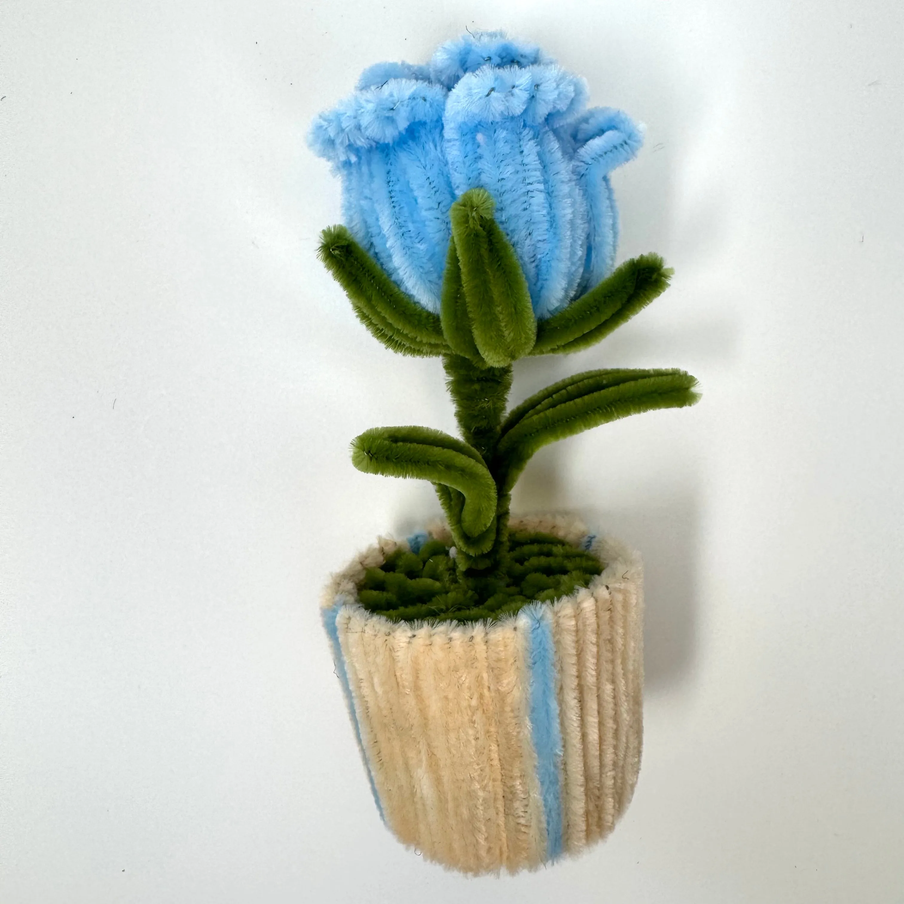 Blue Rose Mini Pot