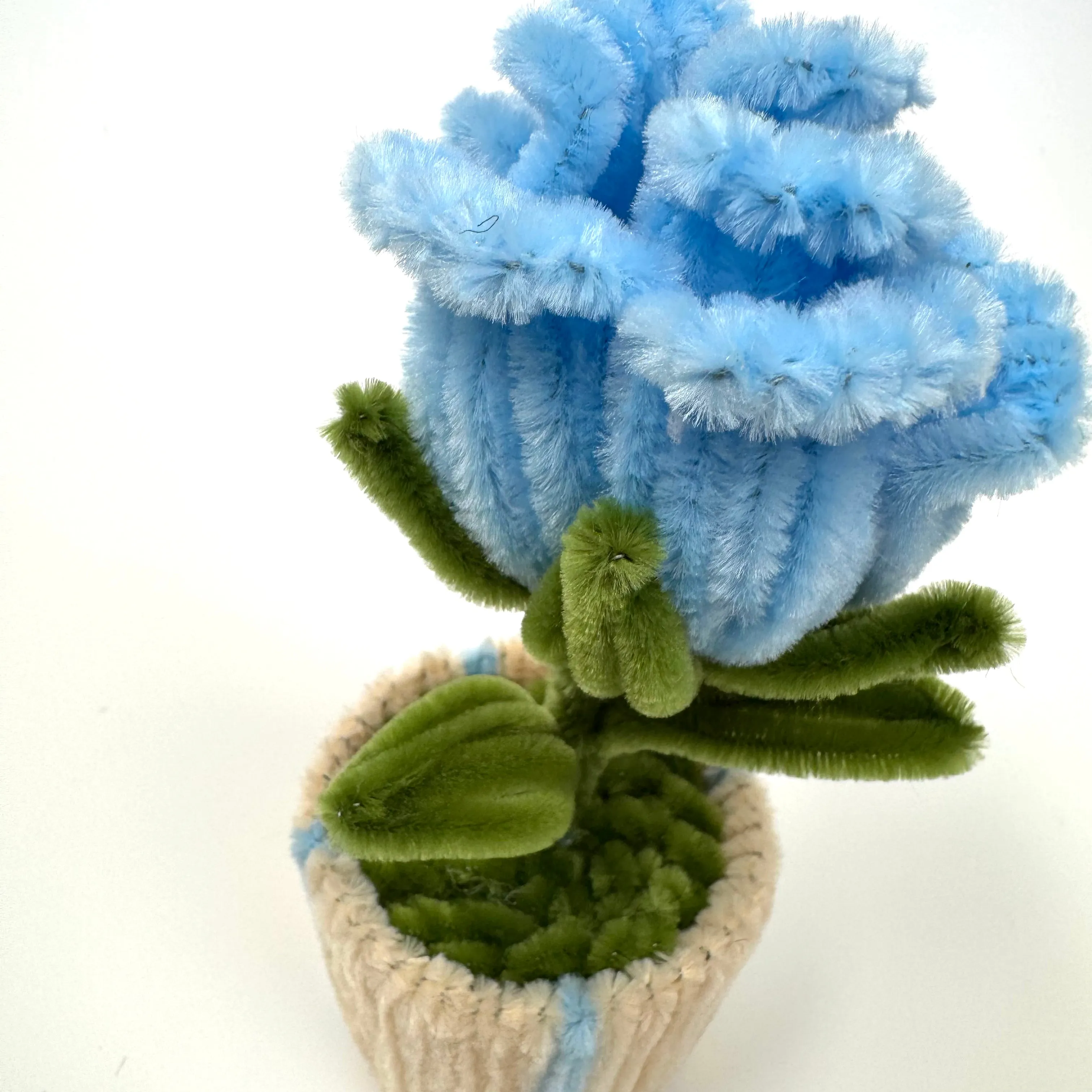 Blue Rose Mini Pot