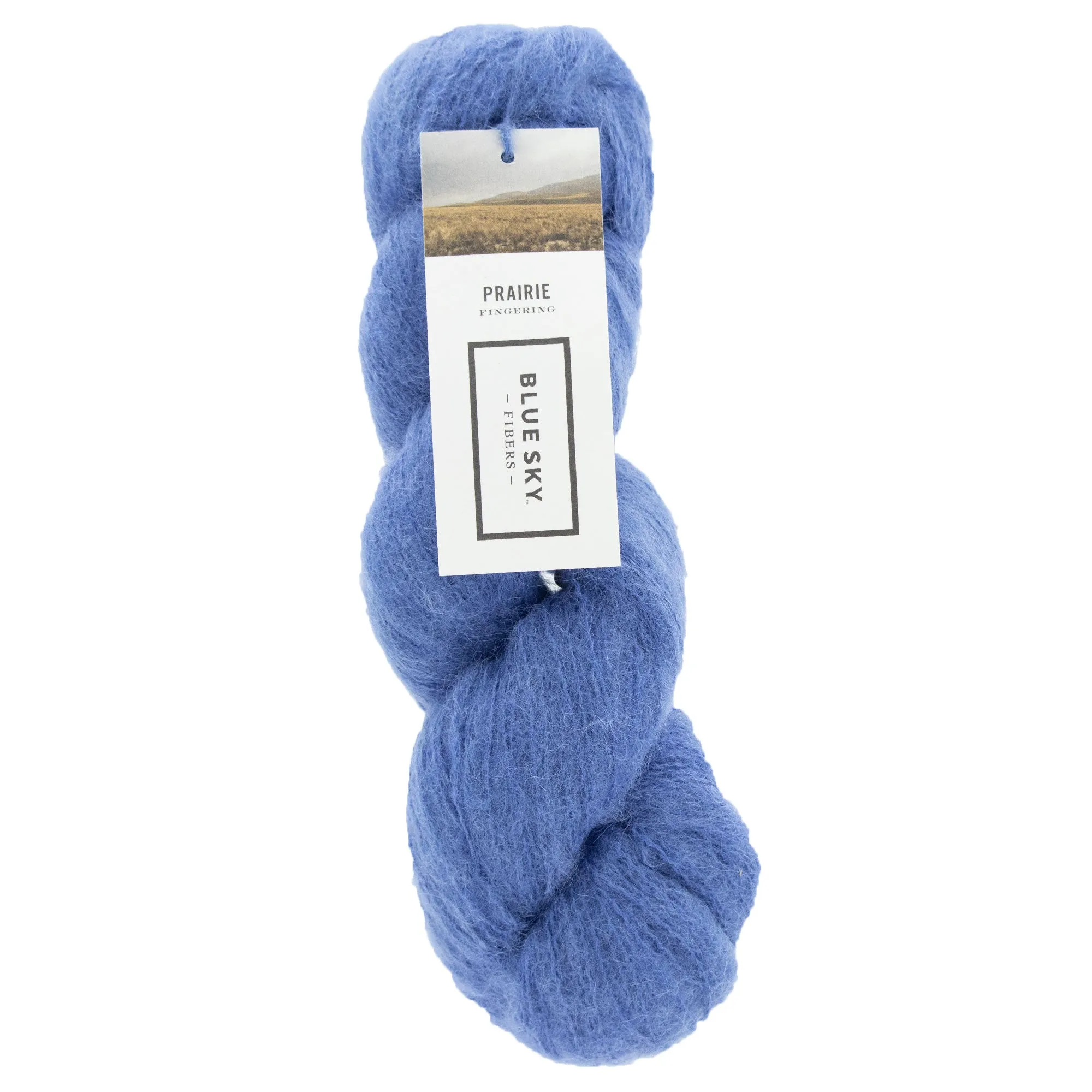 Blue Sky Fibers Prairie Yarn - 1105 - Aster