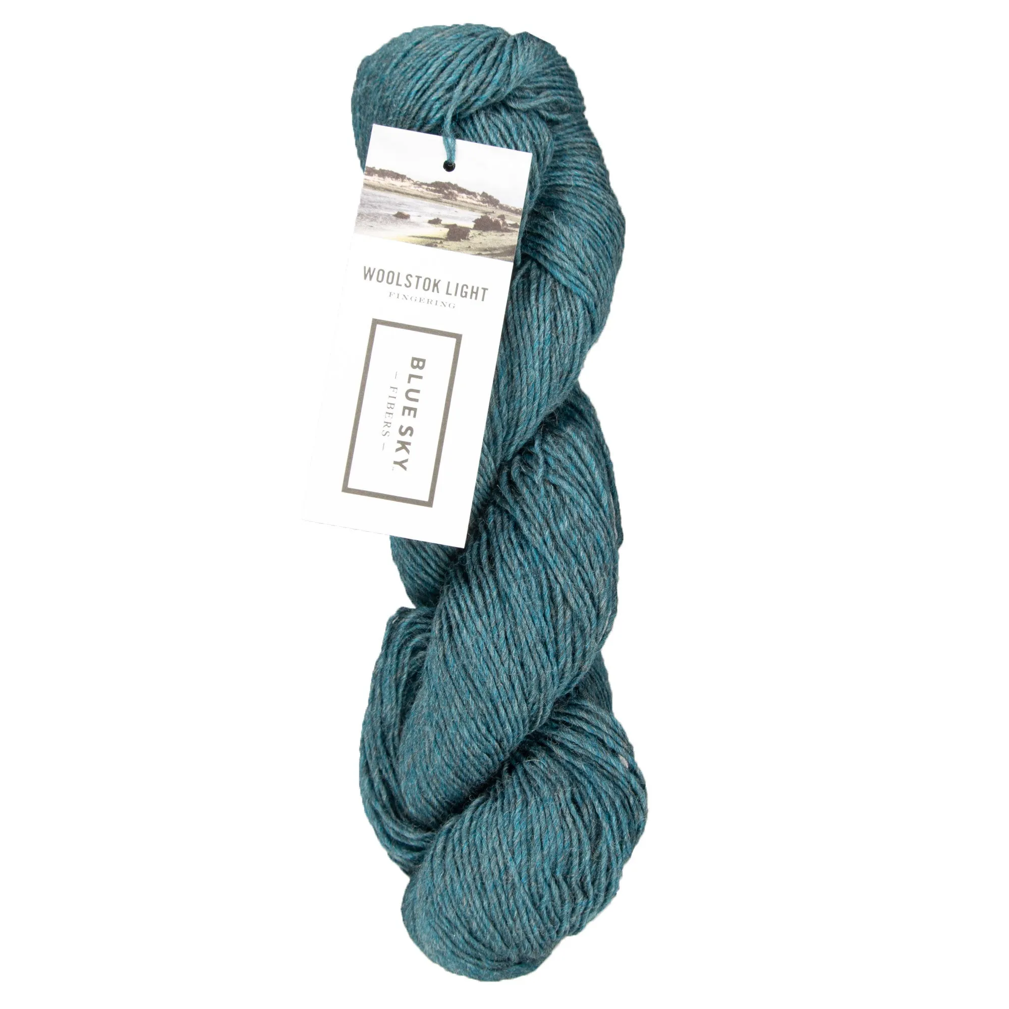 Blue Sky Fibers Woolstok Light Yarn - 2321 Loon Lake