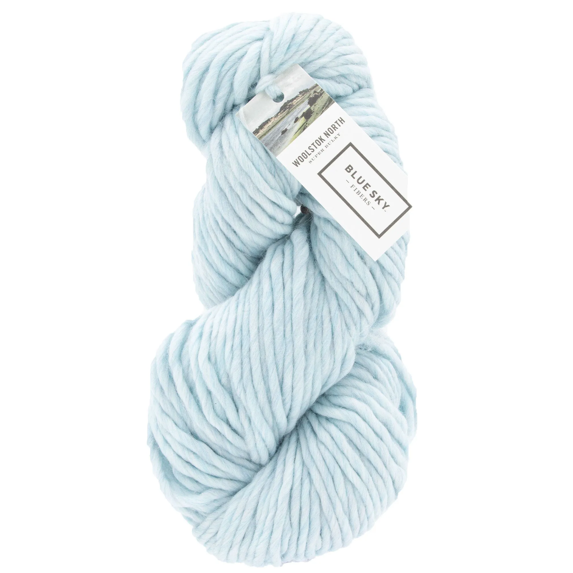 Blue Sky Fibers Woolstok North Yarn - 4318 Thermal Spring