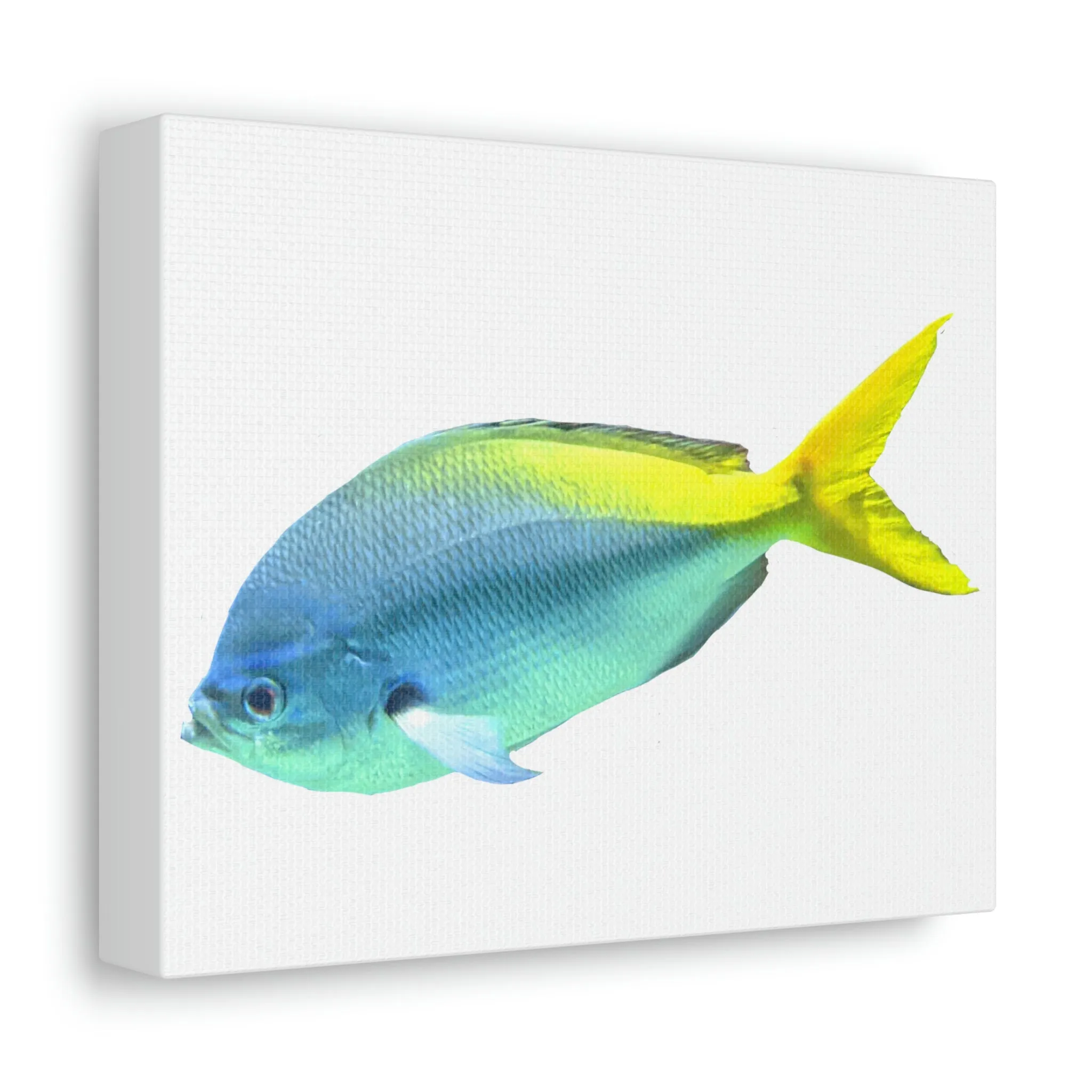 Blue Yellow Fish Stretched Canvas