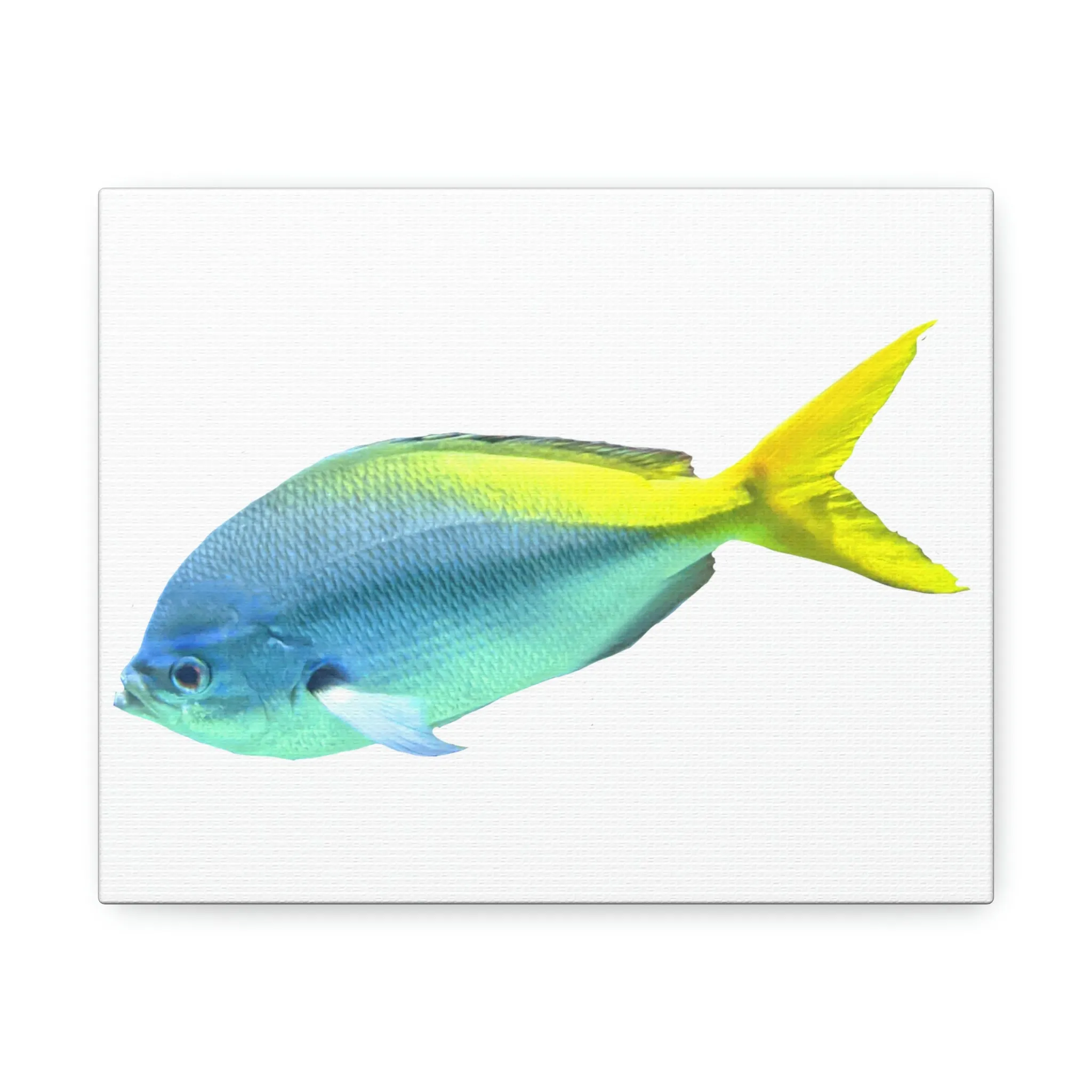 Blue Yellow Fish Stretched Canvas