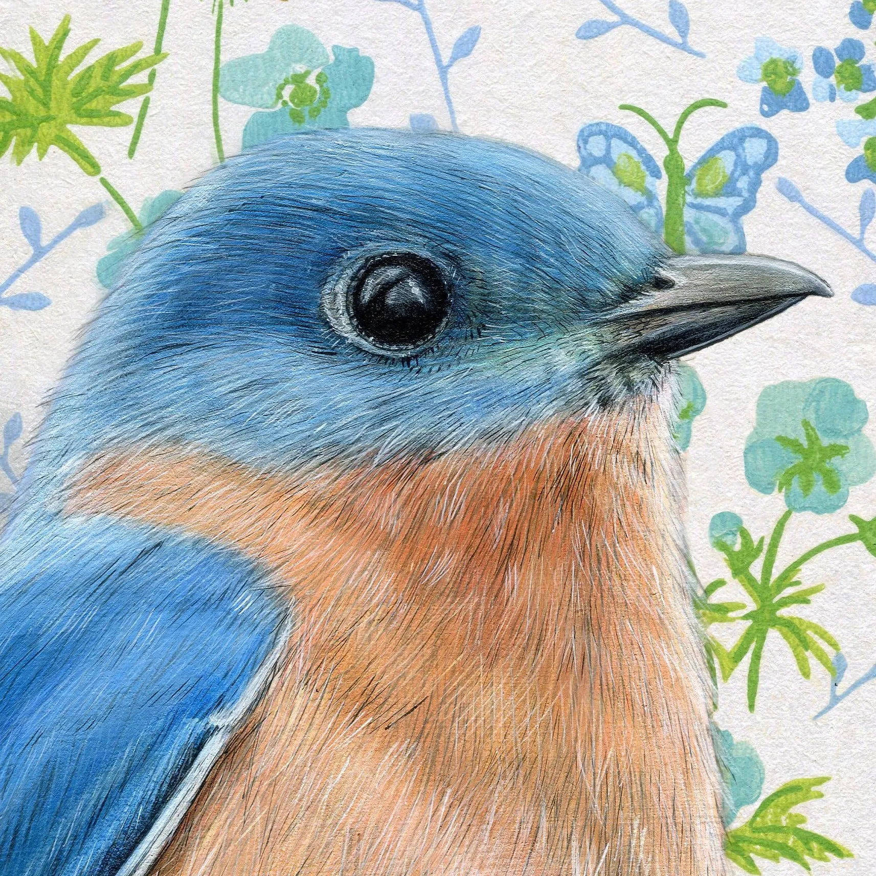 Bluebird Illustration - Fine Art Print