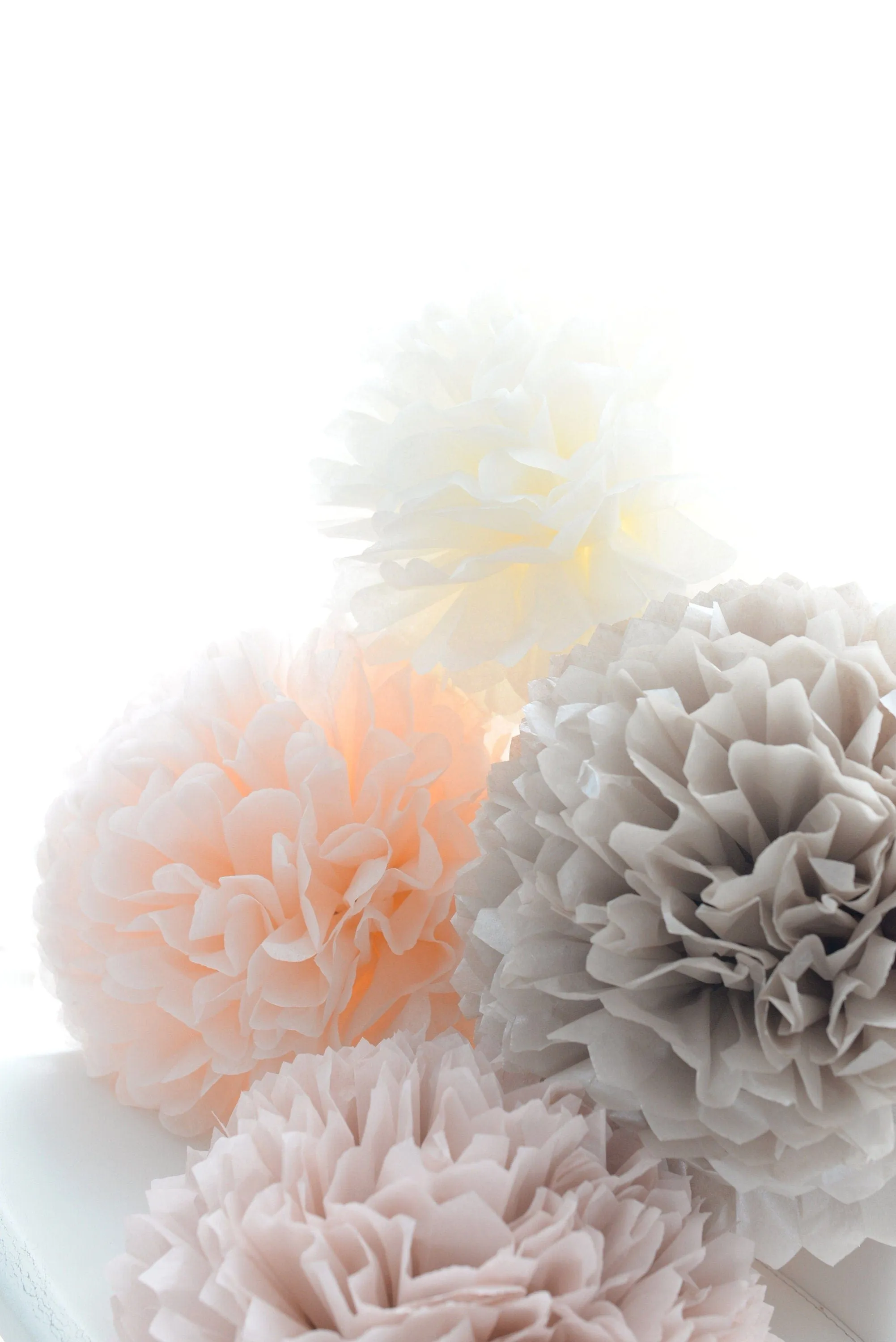 Blush and neutral tissue paper Pom Poms set of 10 mixed sizes paper flowers rustic Wedding, romantic Party, bridal shower, baby shower decor