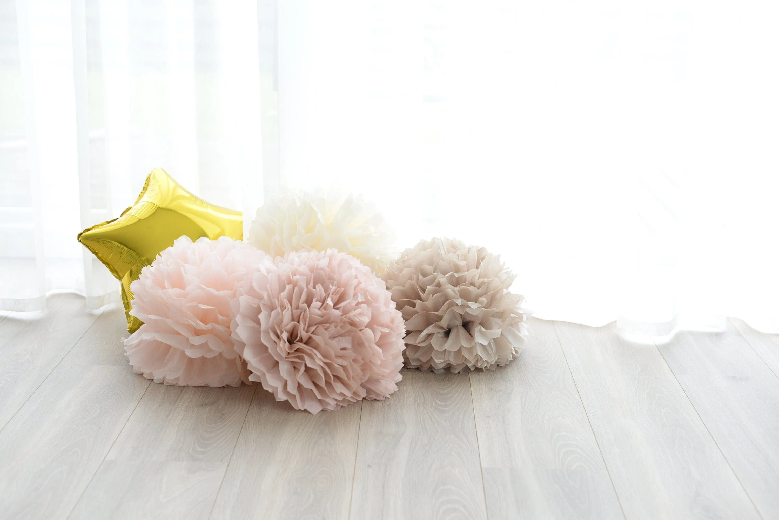 Blush and neutral tissue paper Pom Poms set of 10 mixed sizes paper flowers rustic Wedding, romantic Party, bridal shower, baby shower decor