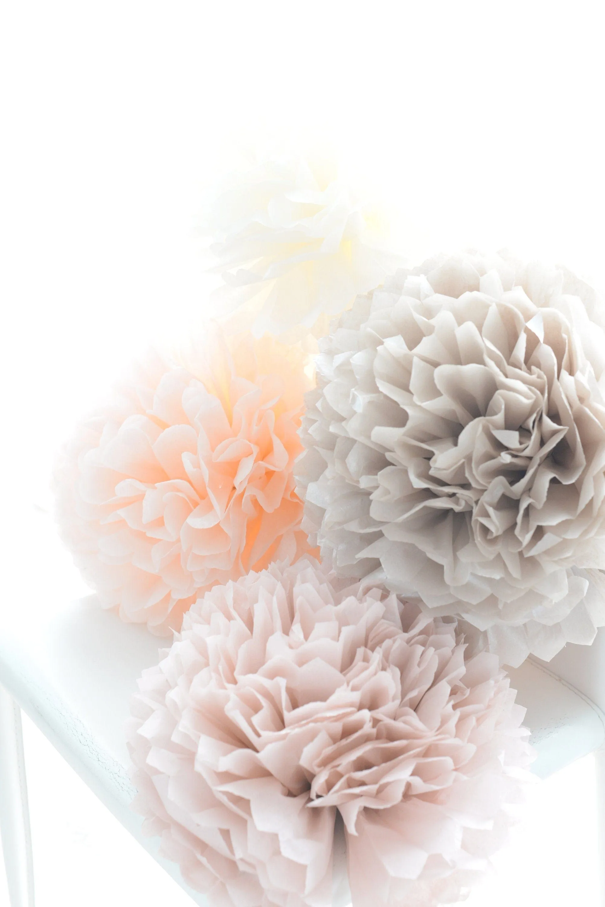 Blush and neutral tissue paper Pom Poms set of 10 mixed sizes paper flowers rustic Wedding, romantic Party, bridal shower, baby shower decor