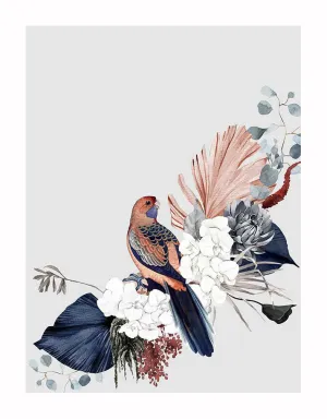 Blushing Rosella Unframed Art Print