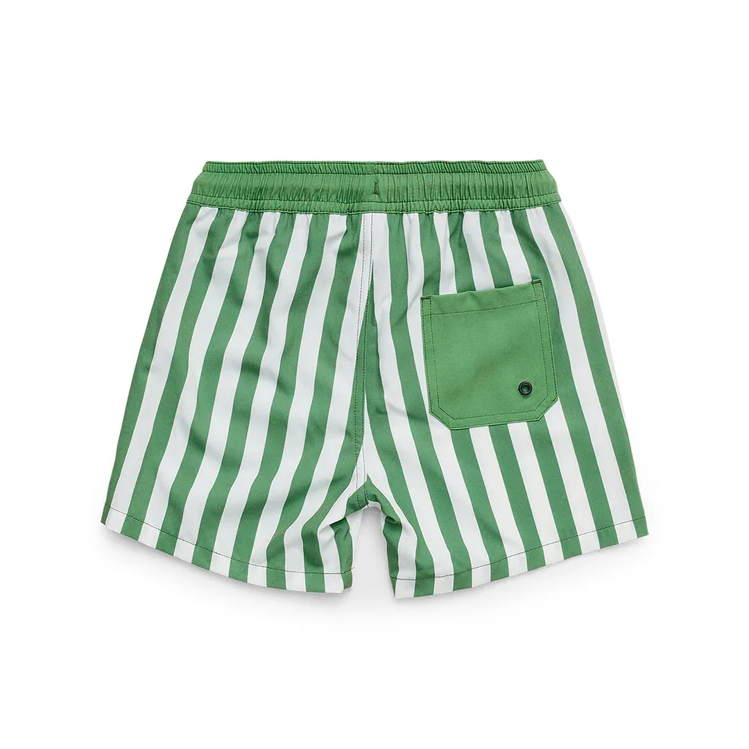 Board Short - Coast Stripe