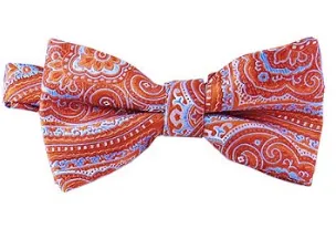 Bold Paisley Pre-Tied - The Bombay