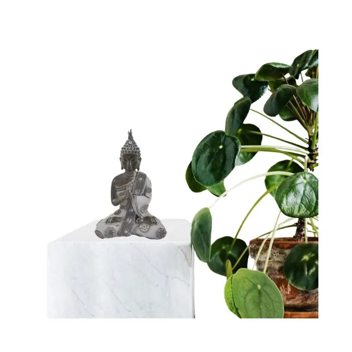 Bouddha assis avec mains jointes gris foncé et pâle 3 po x 5 po