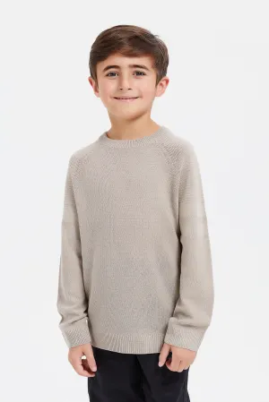 Boys Beige Plain Jumper