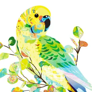 Braw Paper Co. -Budgerigar Art Print (tri020)