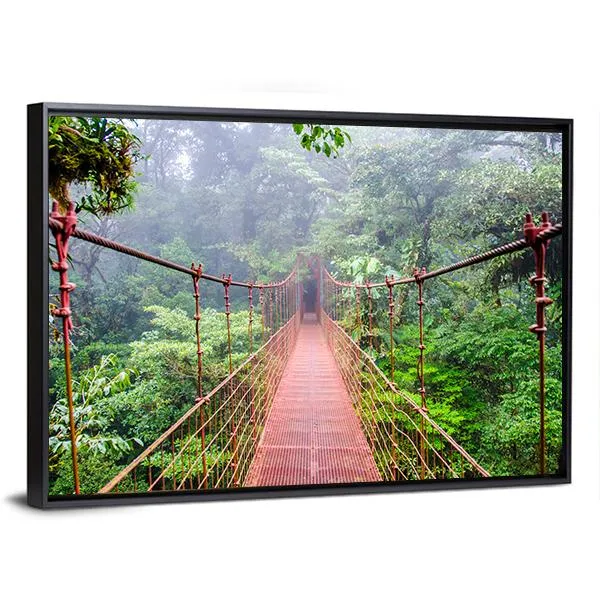 Bridge In Rain Forest Canvas Wall Art