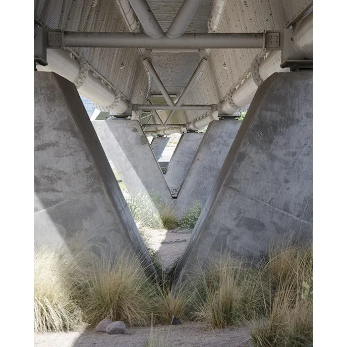 Bridge Underpass Printed Backdrop