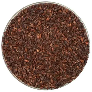 Briess Chocolate Malt