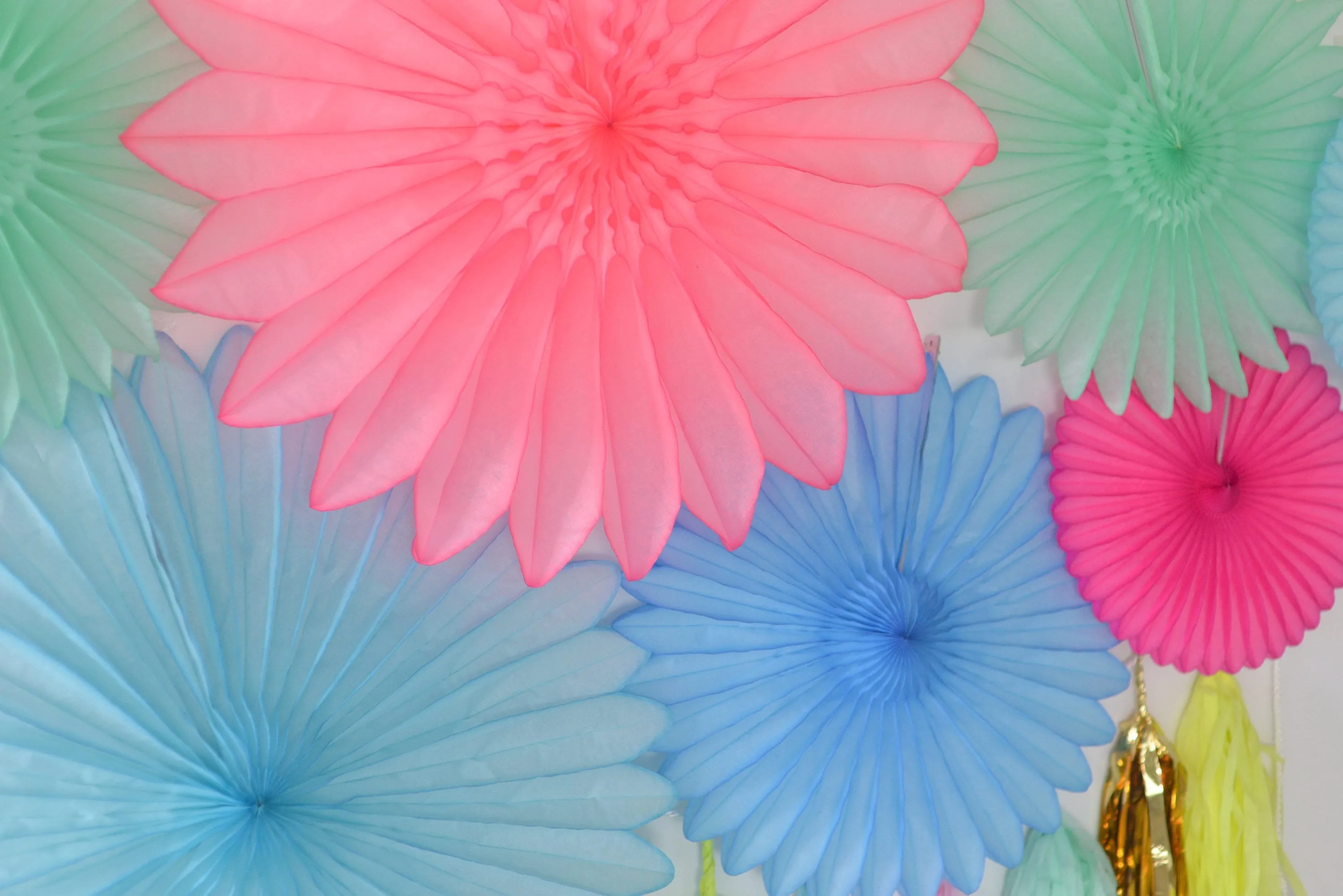 Bright colour Paper fan party decoration set - pink, blue and mint  - backdrop - with tassel garland - optional