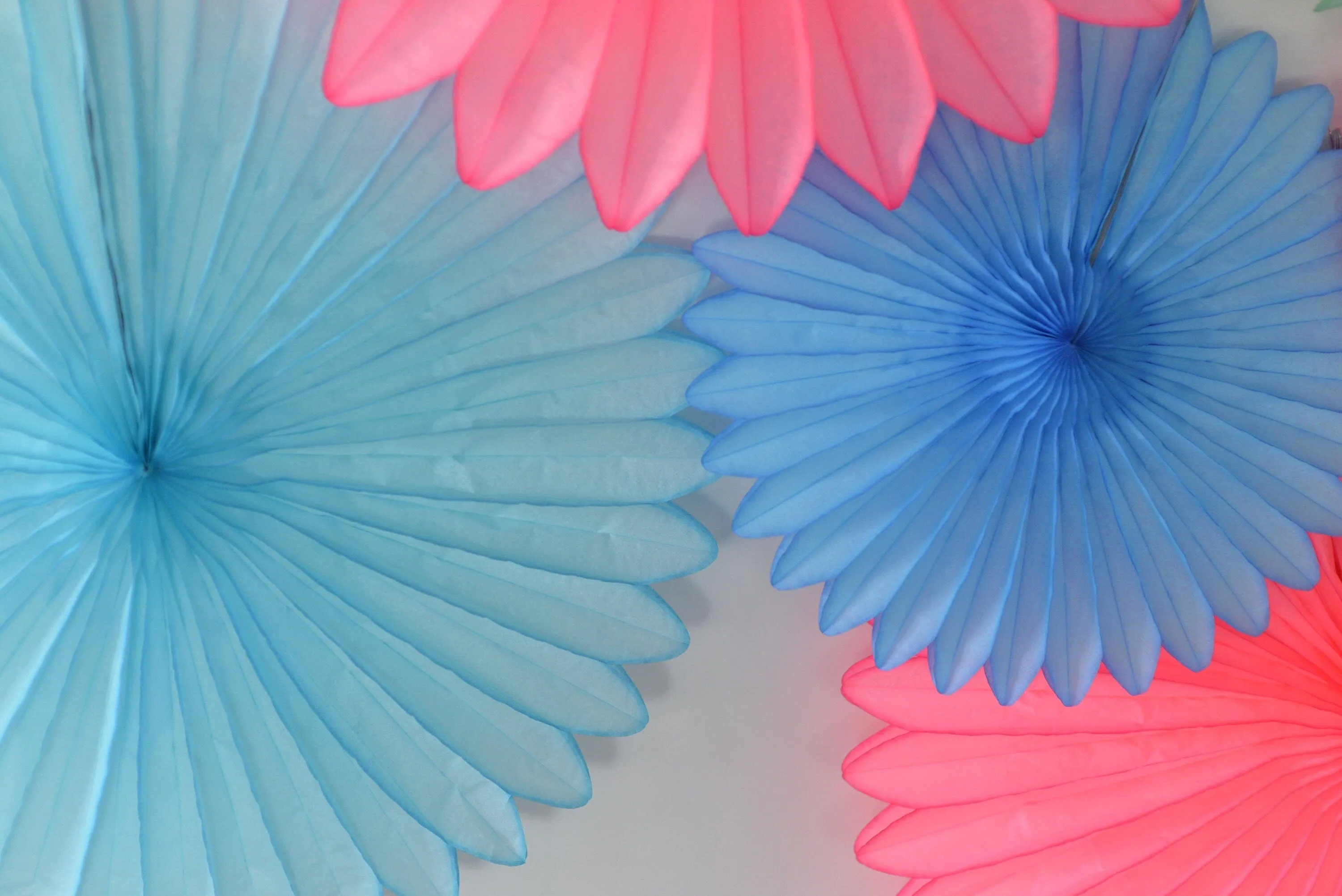 Bright colour Paper fan party decoration set - pink, blue and mint  - backdrop - with tassel garland - optional