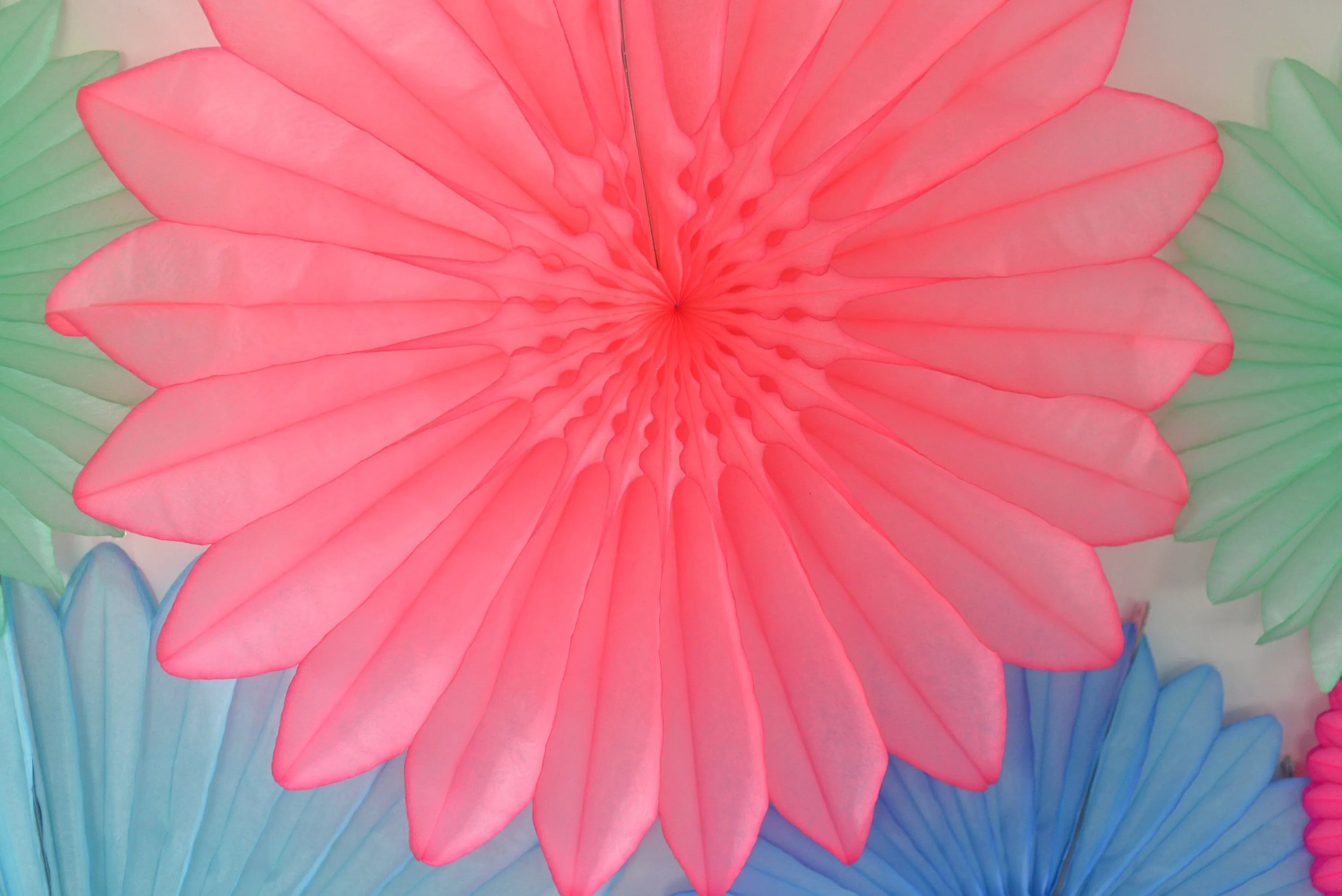 Bright colour Paper fan party decoration set - pink, blue and mint  - backdrop - with tassel garland - optional