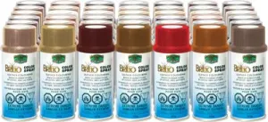 Brillo Shoe Colour Spray 127g Can