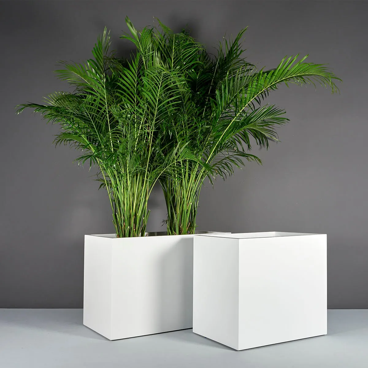 Brisbane Wide Rectangular Planter