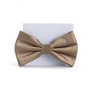 Bronze Bow Tie