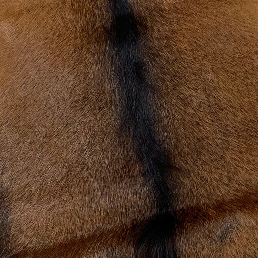 Brown and Blackish Brown Goatskin - 2'10" x 2'1" (GOAT270)