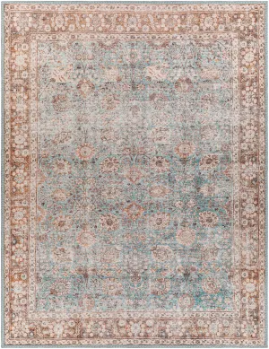 Brown Blue Dauis Vintage Washable Rug