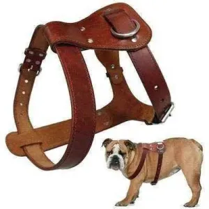 Brown Leather Dog Harness: Stylish Comfort for Elegant Pets