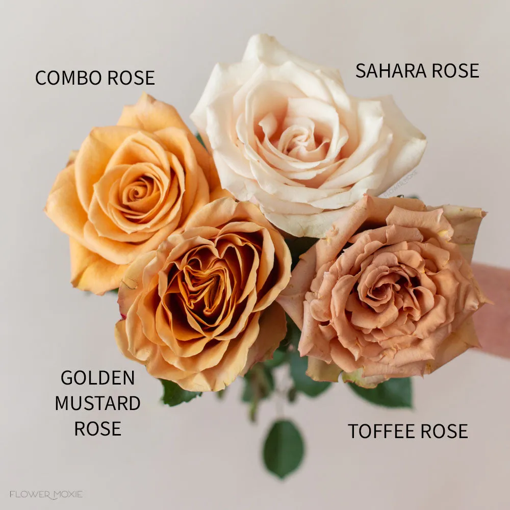 Brown Toffee Rose