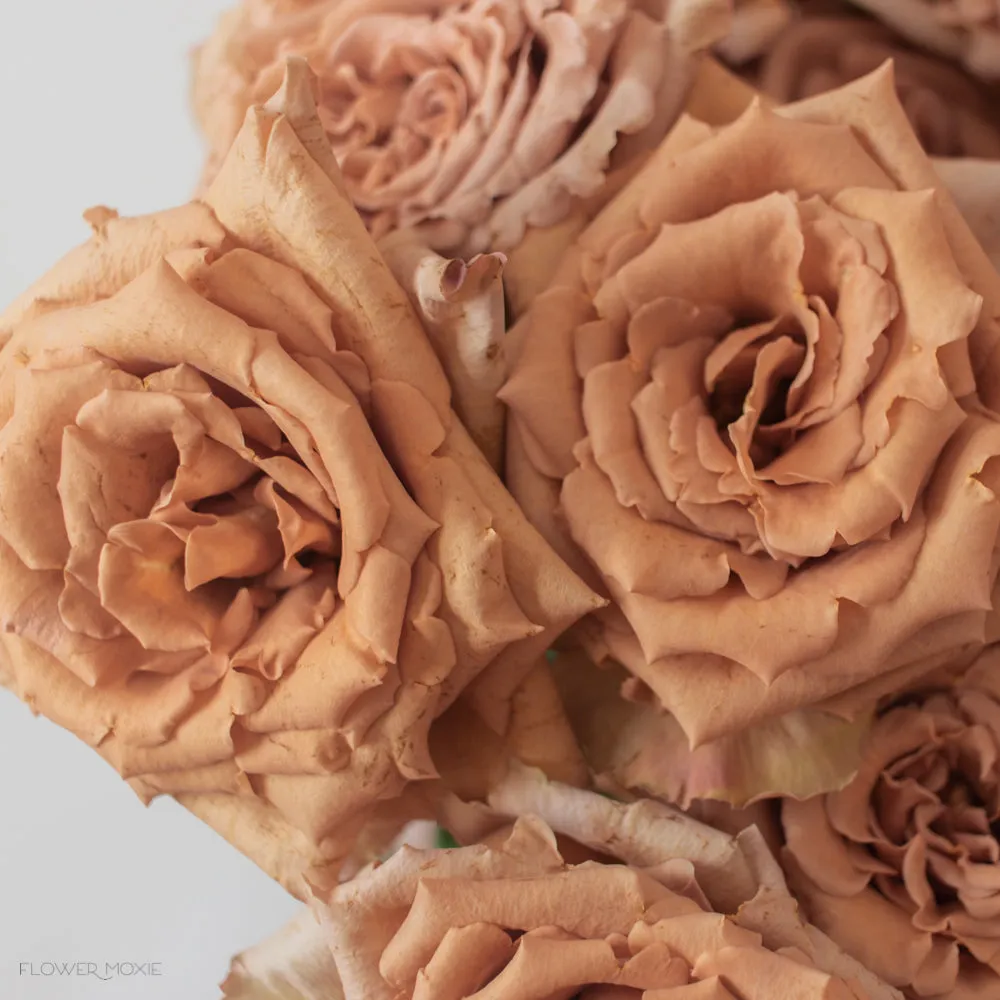 Brown Toffee Rose