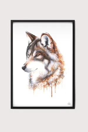 Brown Wolf Fine Art Print