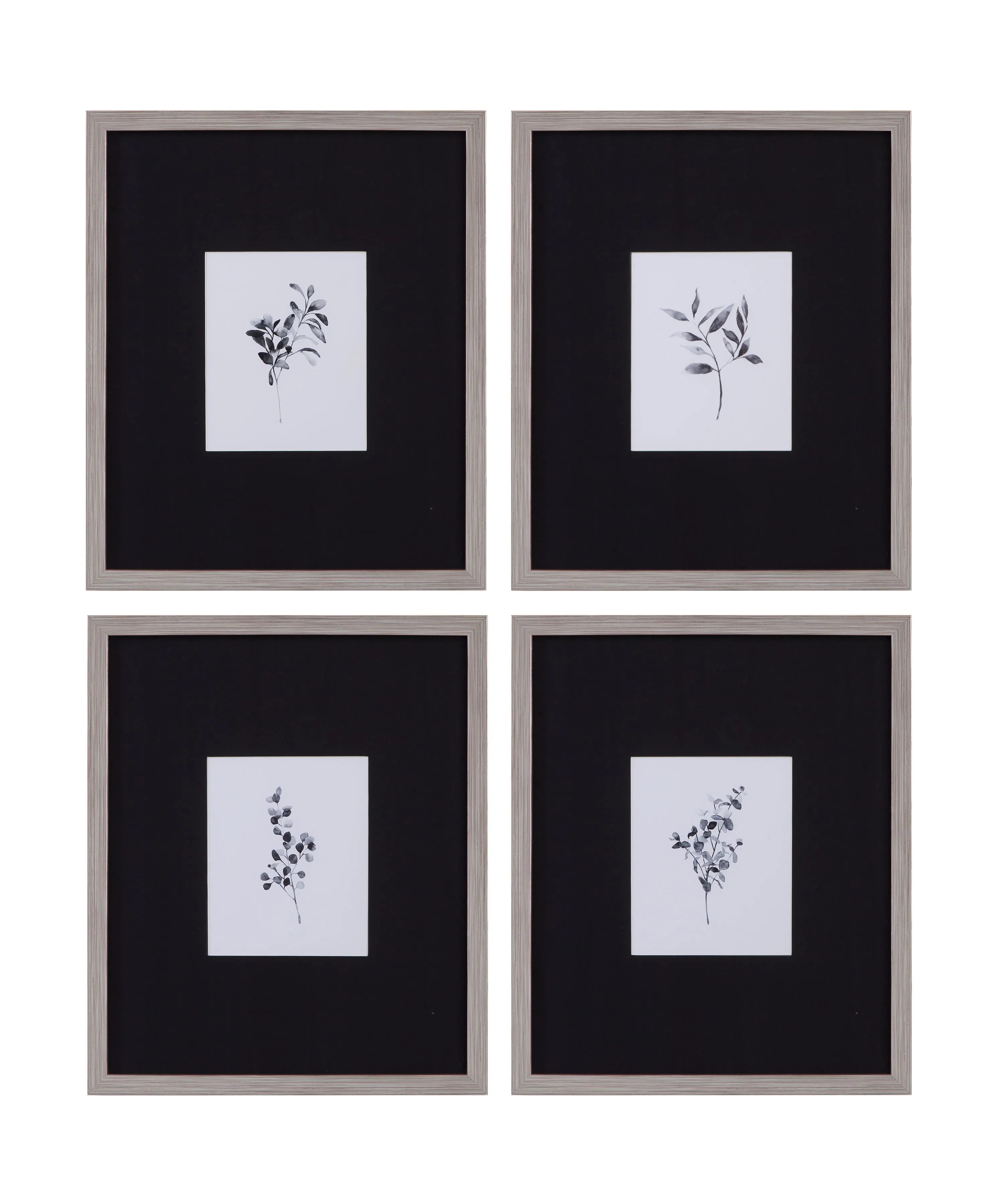 Brume Botanical - Framed Print (Set of 4) - Black / Gray