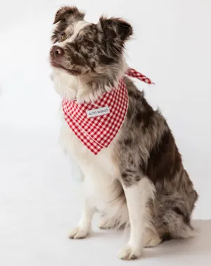 Buddy Red Gingham Dog Bandana