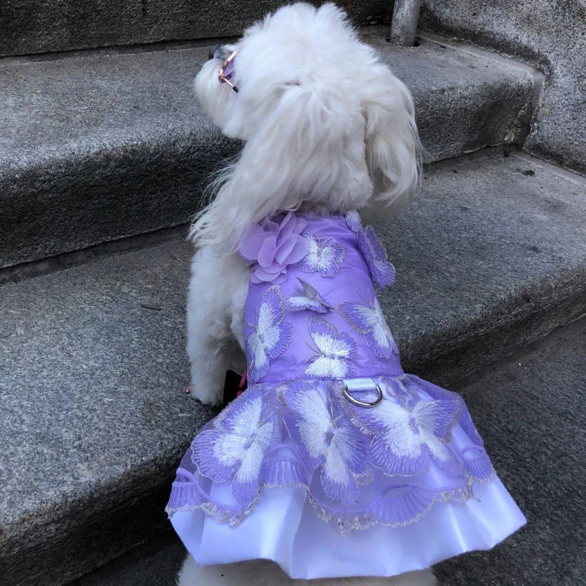 Butterfly Garden Lavender Dog Dress