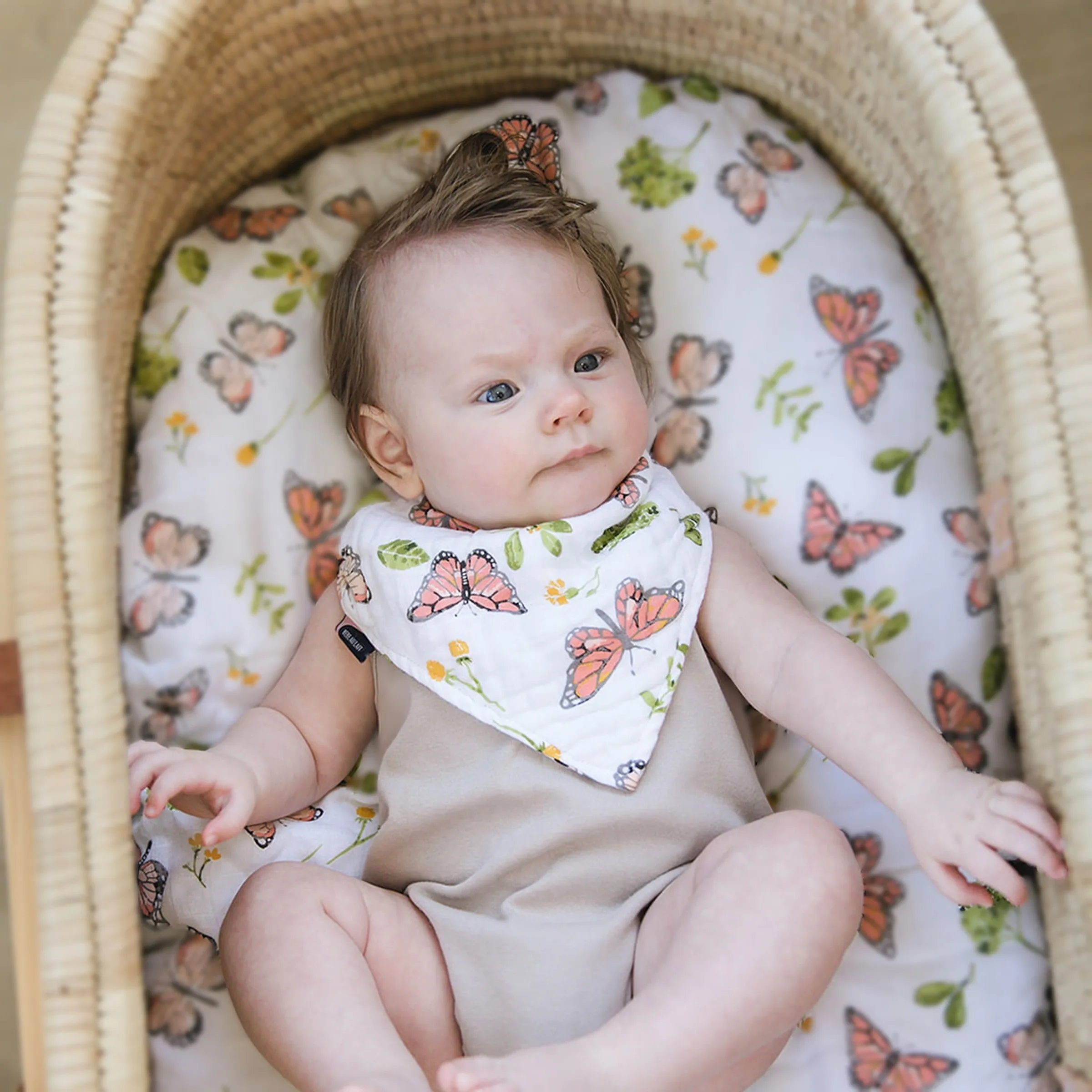 Butterfly Oh So Soft Muslin Bandana Bib