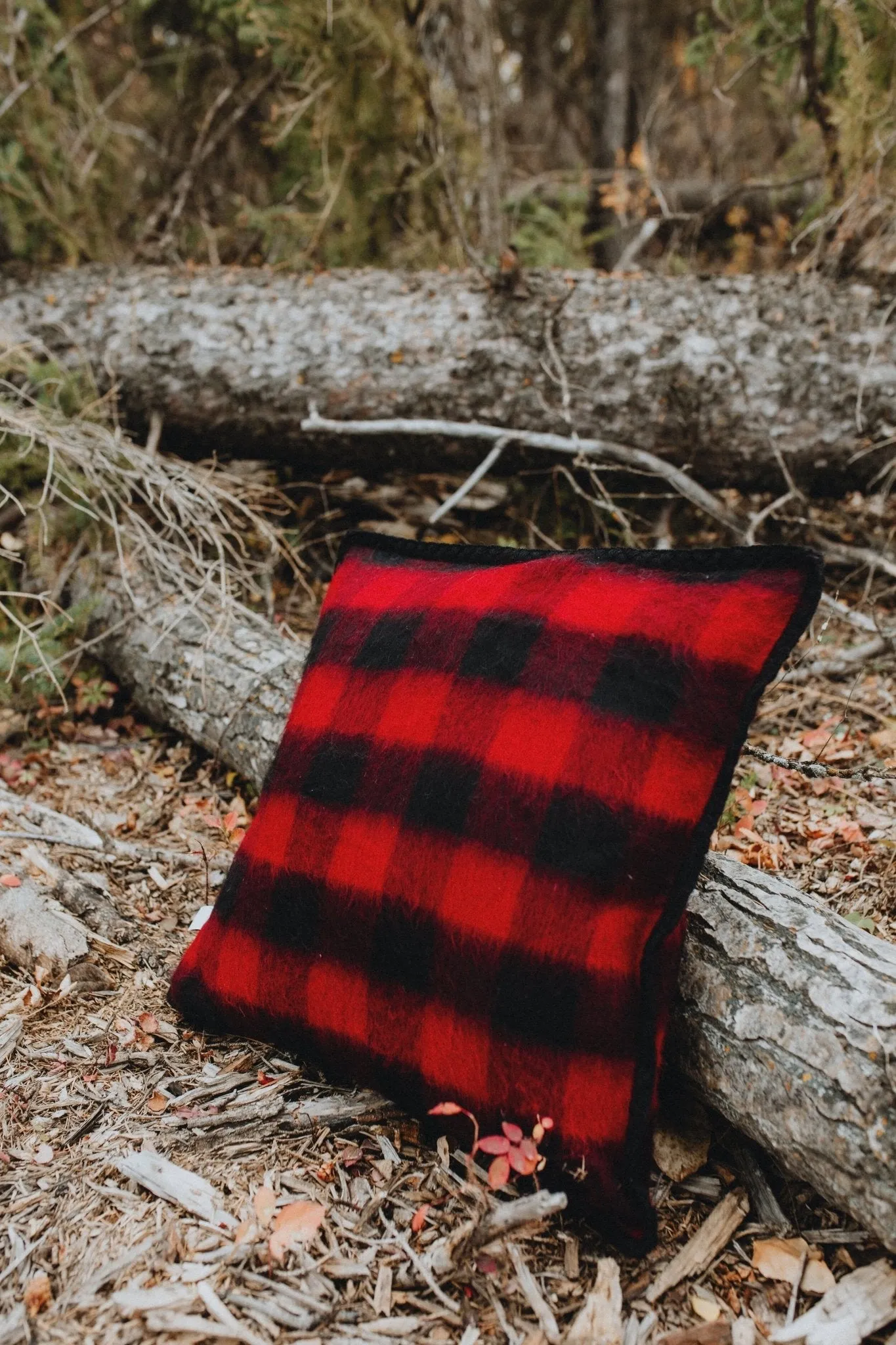 Cabin Fever Alpaca Pillow Cover