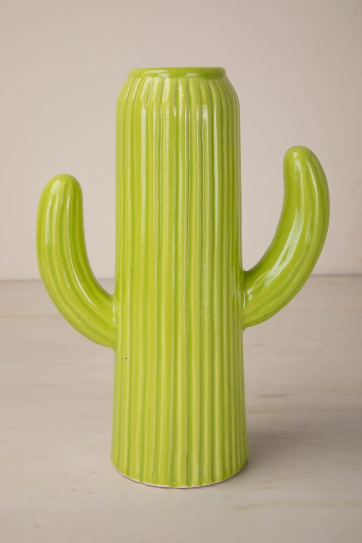 Cactus Ceramic Vase (Fresh Green)