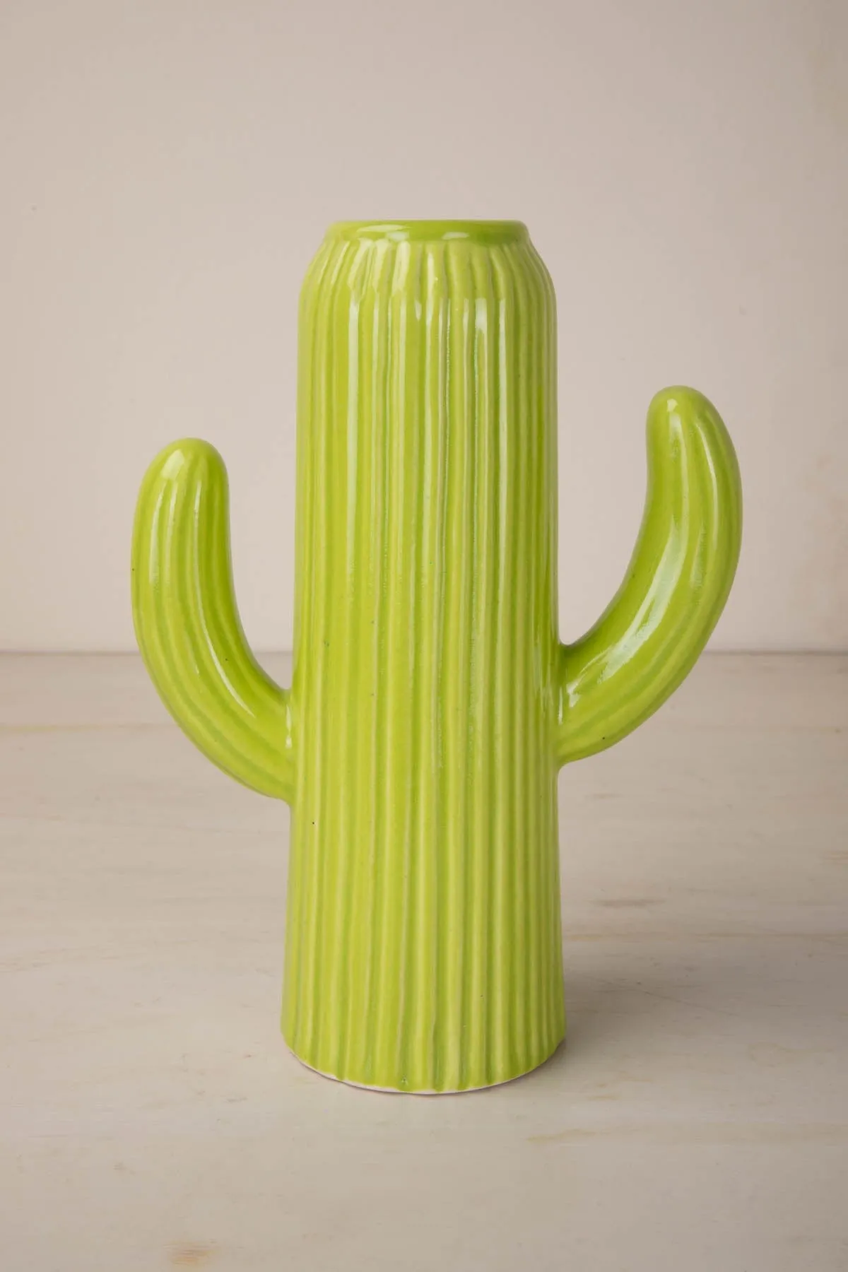 Cactus Ceramic Vase (Fresh Green)