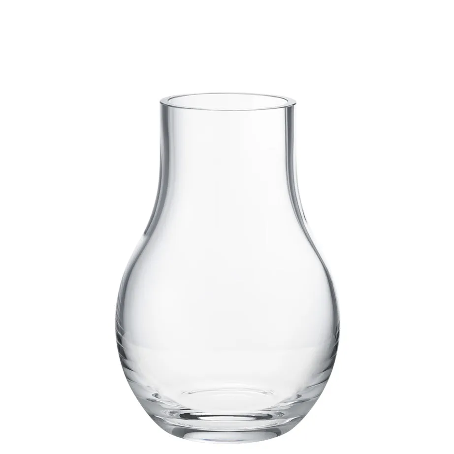 Cafu Glass Vase