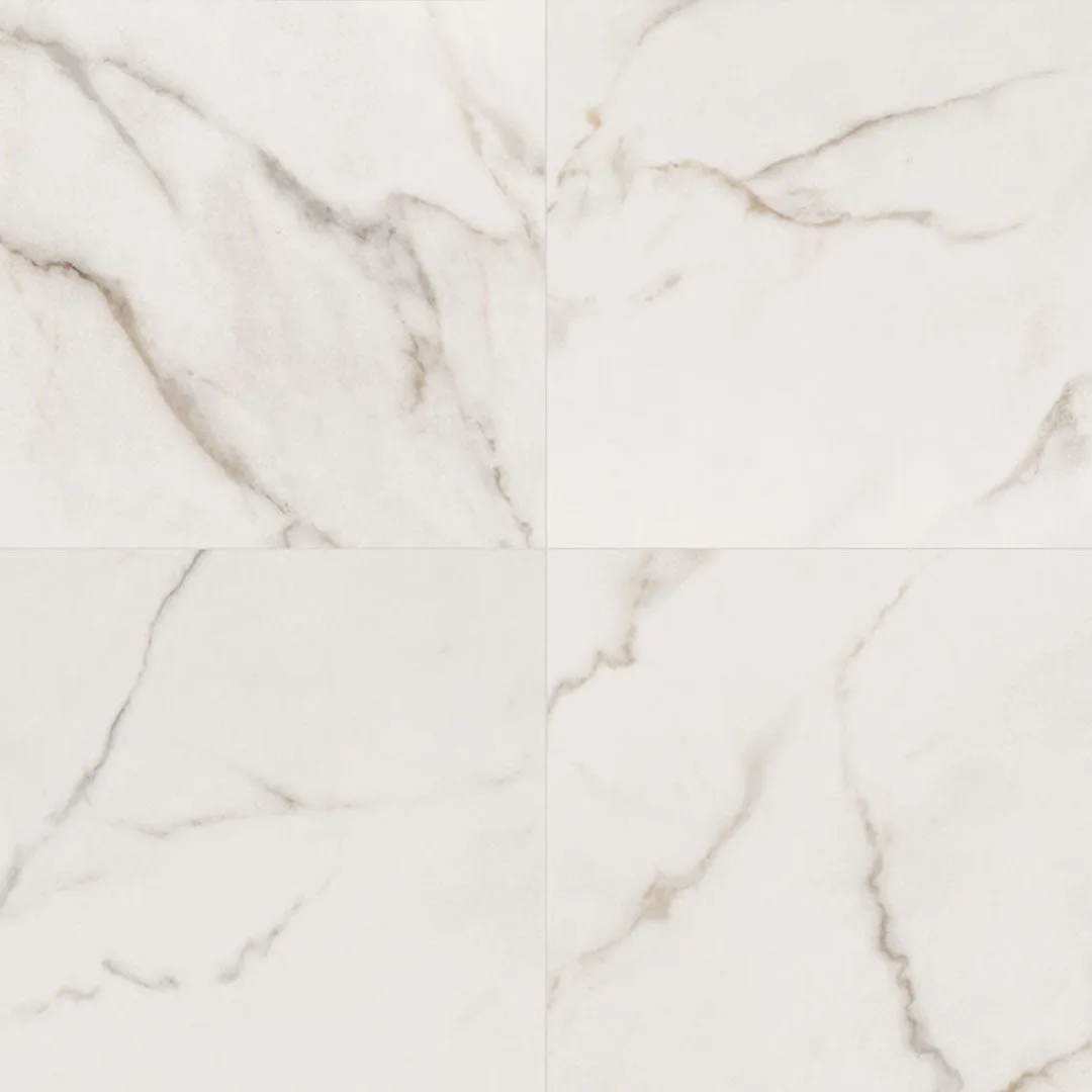 Calacatta Lucca Matte, 24" x 24" - Porcelain Tile