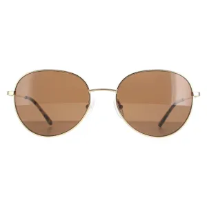 Calvin Klein Sunglasses CK20104S 717 Gold Solid Brown