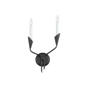 Calyx 17" 2 Light Wall Sconce in Black