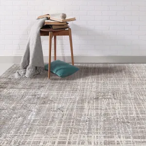 Cameri Silver 2 X 3 Rug