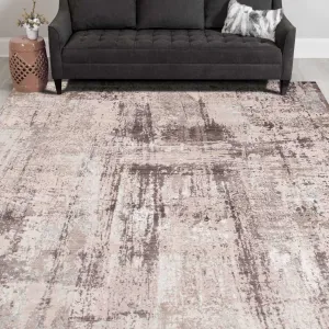 Cameri Silver 5 X 7 Rug